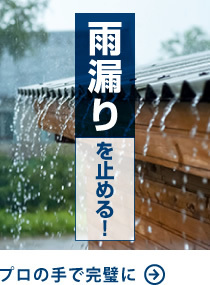 雨漏りを止める