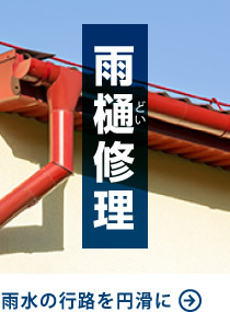 雨樋修理
