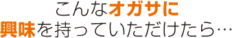 こんなオガサに興味を持っていただけたら…
