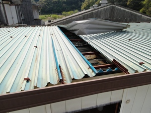 高知 折板 災害対策 カバー工法