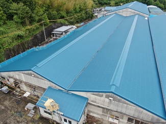 工場屋根の暑さ対策と雨漏り改修工事